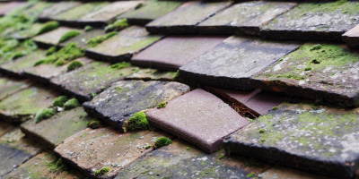 Saughall Massie roof repair costs